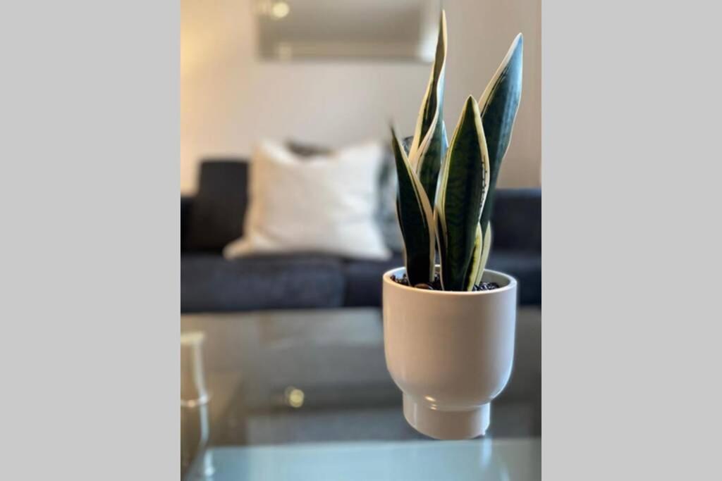 Alicia Newport By Mia Living 2 Bedroom Apartment With Dedicated Parking Ngoại thất bức ảnh